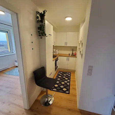 Apartament Reindeer - Wohnen Ueber Den Daechern Von Traun Linz