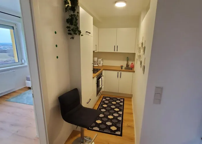 Apartment Reindeer - Wohnen Ueber Den Daechern Von Traun Linz